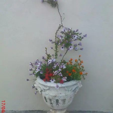 Triplex Entre Ciel Et