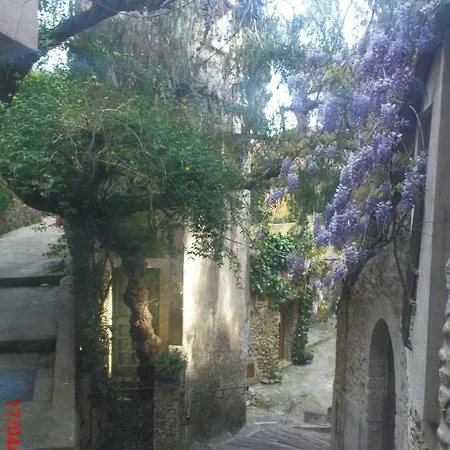 Triplex Entre Ciel Et Roquebrune-Cap-Martin